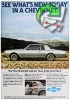 Chevrolet 1977 24.jpg